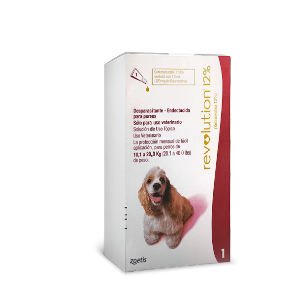 Revolution pipeta perro 10 a  20 kilos